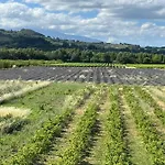Hotel Logis La Bastide Des Monges 3*