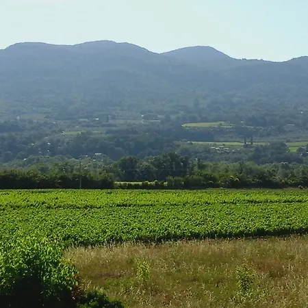 Logis La Bastide Des Monges 3* ニヨン