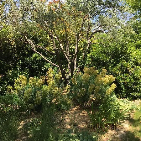 Logis La Bastide Des Monges ホテル