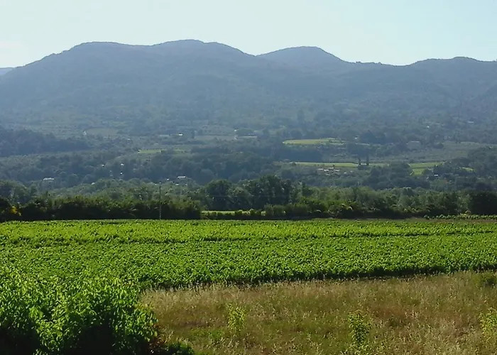 La Bastide Des Monges 3* Nyons
