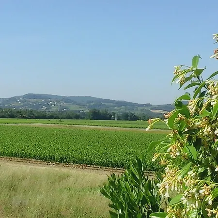 Logis La Bastide Des Monges Nyons