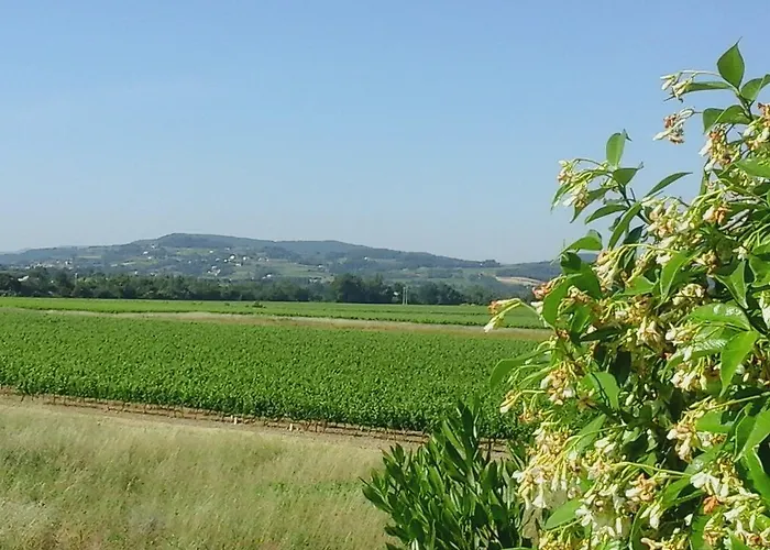 Logis La Bastide Des Monges Nyons